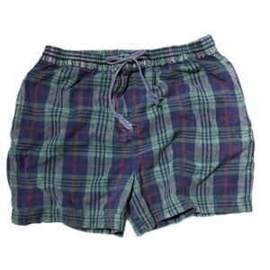 Vintage express green blue plaid shorts (large)